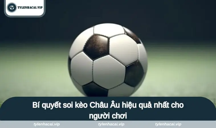 keo chau au 4 Bí quyết soi kèo Châu Âu hiệu quả nhất cho người chơi