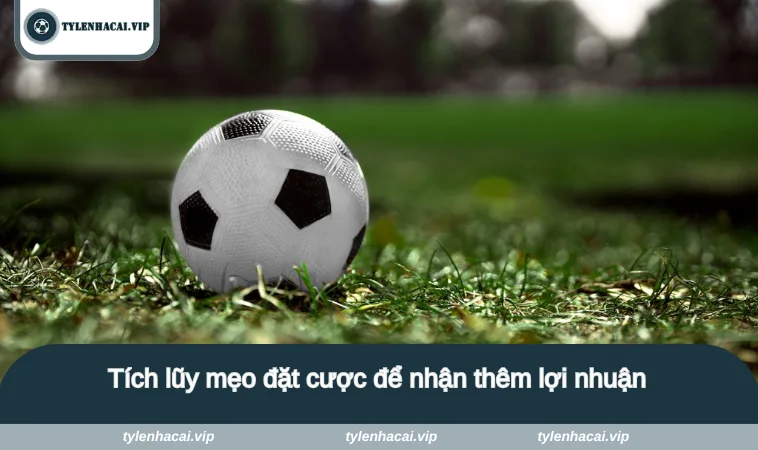 1x2 la gi 4 Tích lũy mẹo đặt cược để nhận thêm lợi nhuận