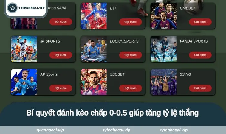 keo 0 0 5 4 Bí quyết đánh kèo chấp 0-0.5 giúp tăng tỷ lệ thắng
