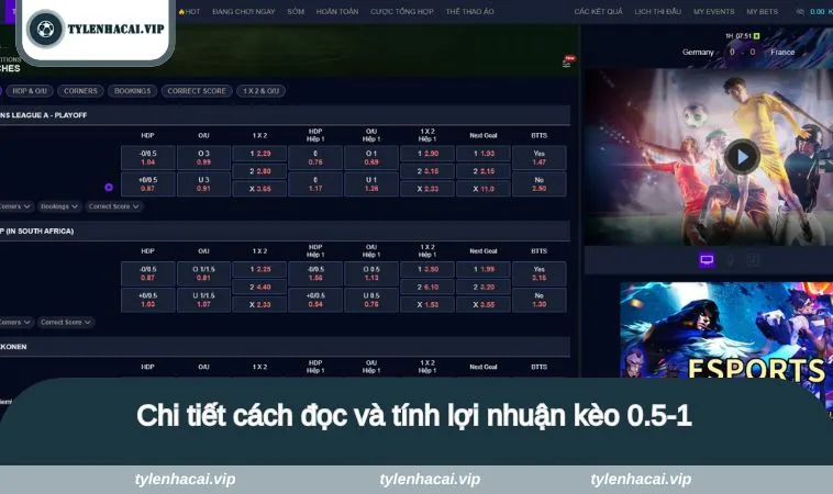 keo 0 5 1 2 Chi tiết cách đọc và tính lợi nhuận kèo 0.5-1