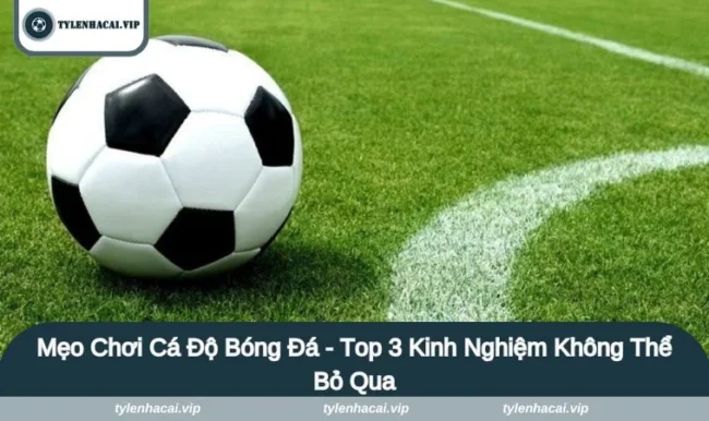Mẹo Chơi Cá Độ Bóng Đá