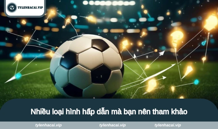 Nhiều loại hình hấp dẫn mà bạn nên tham khảo