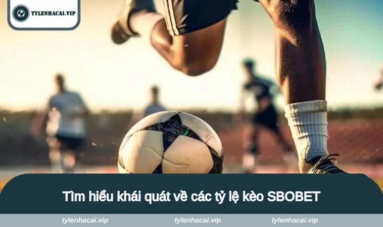 Tìm hiểu khái quát về các tỷ lệ kèo SBOBET