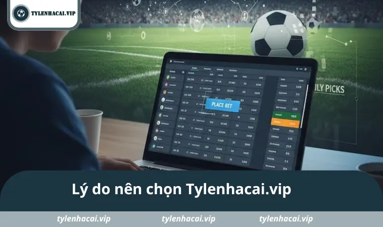 Lý do nên chọn tham khảo ty le keo tại Tylenhacai.vip